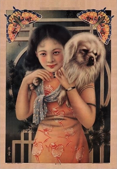 ʽϺһĸղ