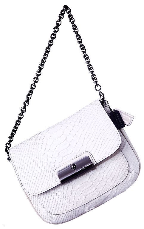 Coach 2011春季Kristin系列手袋