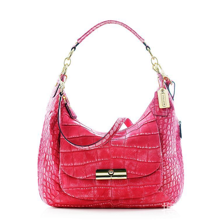 Coach 2011春季Kristin系列手袋