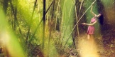 Ϻ̲2011ϵвӱ ȡξ