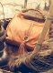 Ϻ̲2011ϵвӱ ȡξ