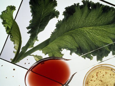 急瘦15斤 今夏最给力香蕉醋减肥法