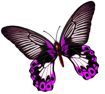 ϵΪ飬ĮȻһ