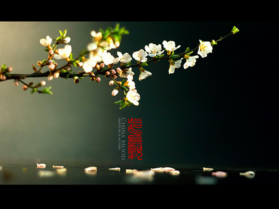 唯美的中国风静物写真：CHINA MOOD