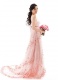 ɴع 38+Ůﲻ