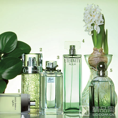 早春风光好 处处芳草香