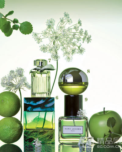 早春风光好 处处芳草香