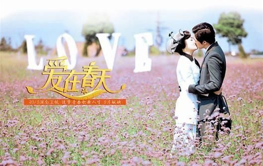 《像火花》撞景《爱在春天》 用同一片薰衣草田