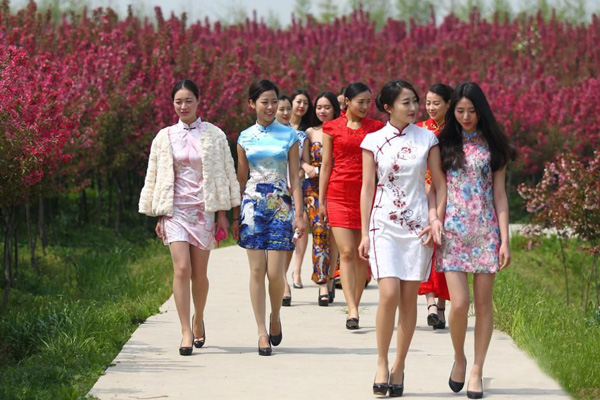 南京美女着旗袍赏花 顾盼生姿秀身段