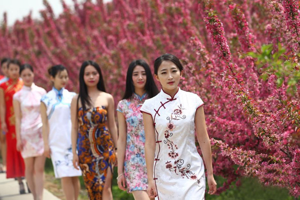 南京美女着旗袍赏花 顾盼生姿秀身段