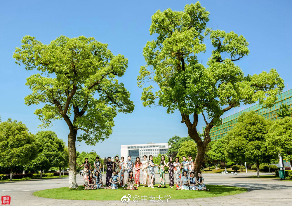 又是一年毕业季 中南大学旗袍毕业照走红网络
