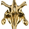 鶯ļ<em>ϣ</em>Black box öָ