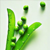 רҽأ籬ġ<em>ʳ</em>ס