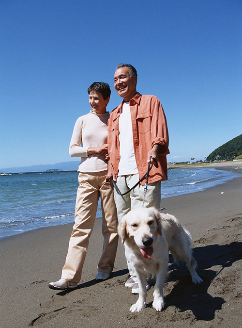 散步、遛狗、爬楼梯,让你轻松瘦身