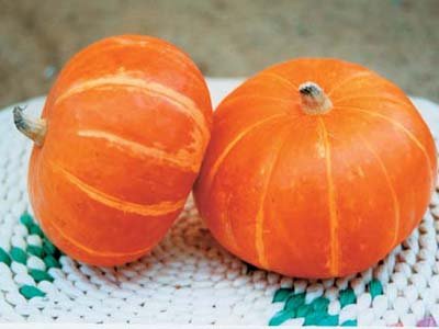 纯天然中药面膜美白淡斑养颜