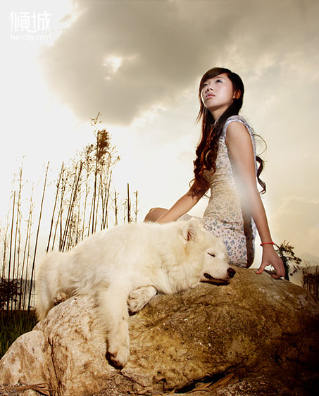 似水流年：若只如初