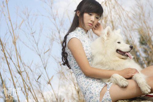 似水流年：若只如初