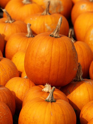 饮食减肥 健康有益身体不反弹