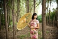 柳絮纤纤森林系旗袍写真：流光溢彩